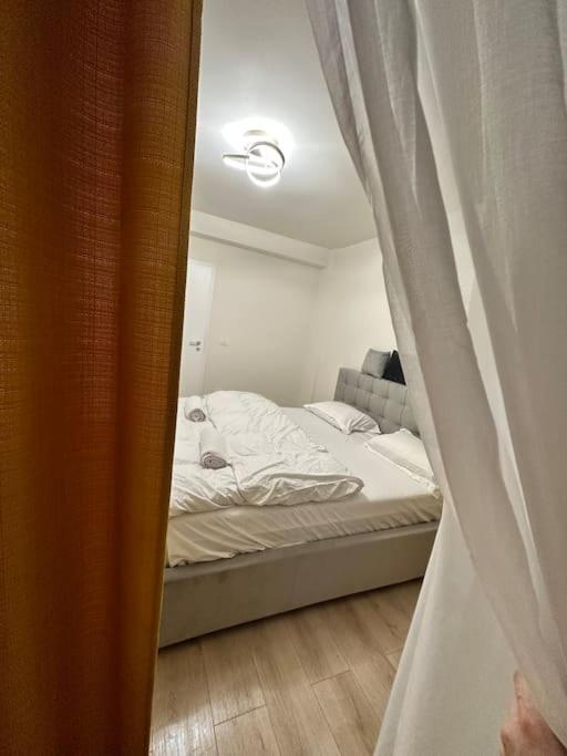 Ultracentral Luxury Apartament ティミショアラ エクステリア 写真