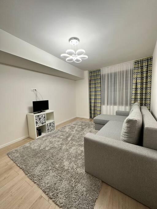 Ultracentral Luxury Apartament ティミショアラ エクステリア 写真