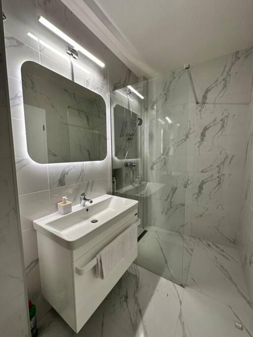 Ultracentral Luxury Apartament ティミショアラ エクステリア 写真