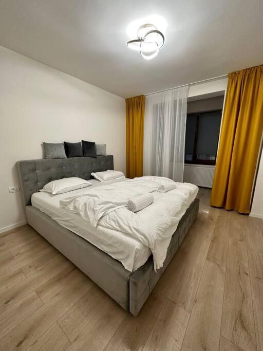 Ultracentral Luxury Apartament ティミショアラ エクステリア 写真