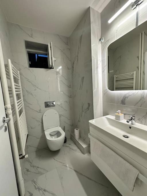 Ultracentral Luxury Apartament ティミショアラ エクステリア 写真