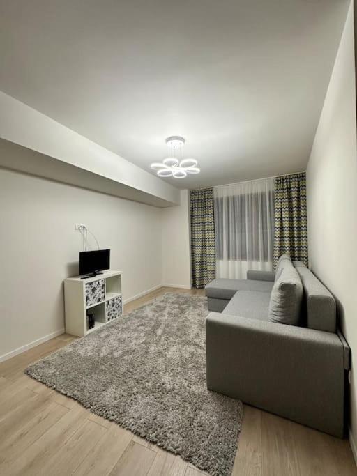 Ultracentral Luxury Apartament ティミショアラ エクステリア 写真