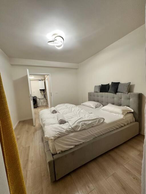 Ultracentral Luxury Apartament ティミショアラ エクステリア 写真